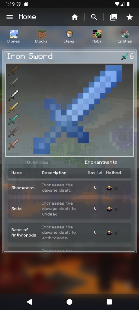 Iron Sword card – Enchantments tab
